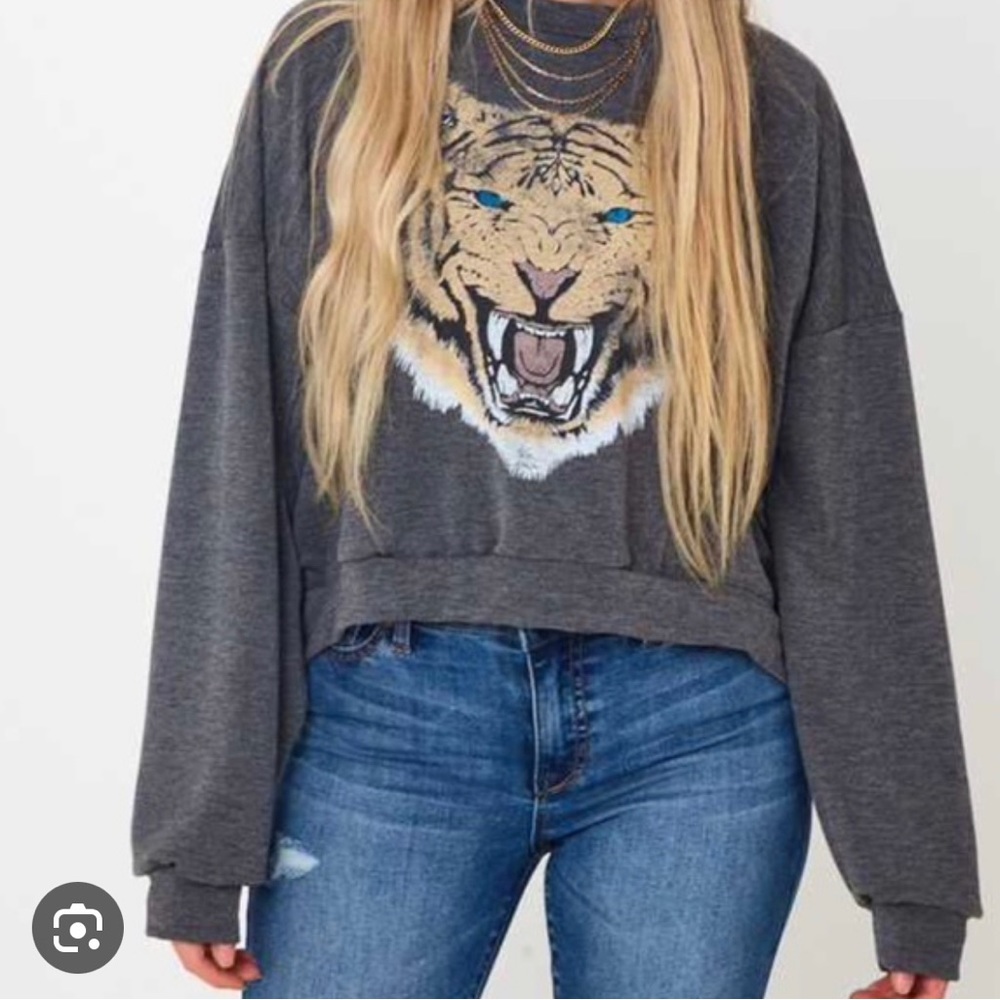 Altar’d State Tiger Sweater